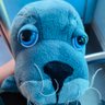 Lumy profil fotoğrafı