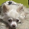 Milk's profile picture