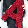 أميرالدين يحي العلفي profil fotoğrafı
