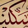 Sakeenah Abdur Rahman Animashaun profil fotoğrafı