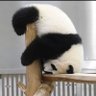 Фото профиля ぱにゃにゃーんttt