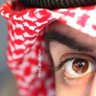 Profilbild von محمد الحربي