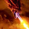 Dragon heart 的头像