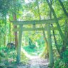 Фото профиля サボテン117