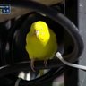 TheRallyParakeet #LFGM 的头像