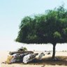 Фото профиля العامري