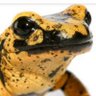 Newts's profile picture