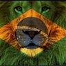 Robertho Thadeu's profile picture