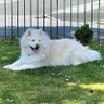 rbits profil fotoğrafı