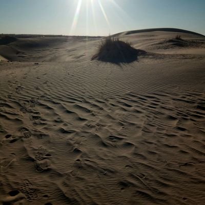 alswfy_z's profile picture