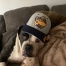 Profilbild von resource hound