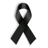 memoar to remember 的头像