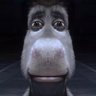 brug the brug's profile picture
