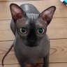 Maria's profile picture