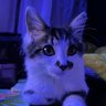 Isabellaagain's profile picture