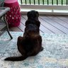 Bill Jr.'s profile picture