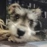 Profilbild von Nana...