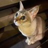 AKI's profile picture