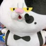 😑nyanyonya低浮上's profile picture