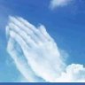 ابو عبدالله's profile picture