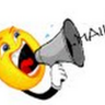 stephane louveau's profile picture