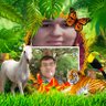 Preetam singh Rao's profile picture