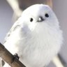Фото профиля しまエナガ