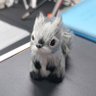 和(かず) profil fotoğrafı