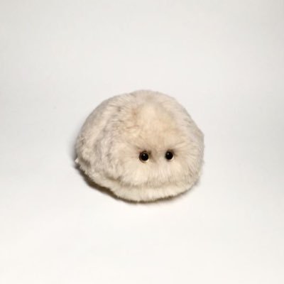 喵's profile picture