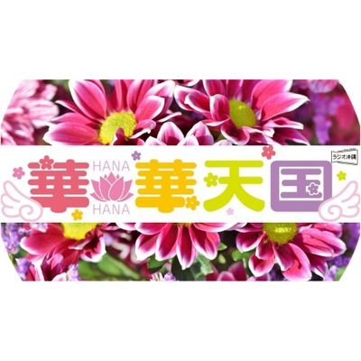 hanaten864's profile picture
