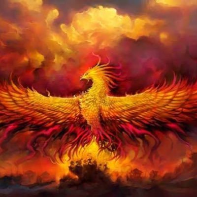 Phoenix23593204's profile picture