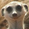 Profilbild von Me and Myself
