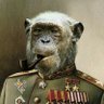 macaco russo 🇷🇺🇷🇺🇷🇺 的头像