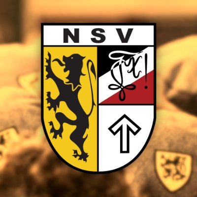 nsvnationaal's profile picture