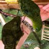 ã profil fotoÄrafı