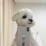 หยดน้ำ ft. Ame ᥫᩣ profil fotoğrafı