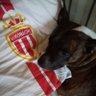 Mamba 98's profile picture