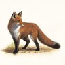 Drambram's profile picture