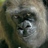 mcstuiain profil fotoğrafı