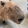 山田 profil fotoğrafı