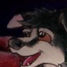 Profilbild von Xander collie