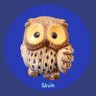 Shin's profile picture