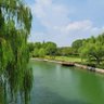 Фото профиля Richardzhang2022