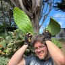 Фото профиля Adam M. Smith (史亚当)