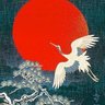 ター大阪's profile picture