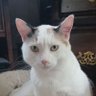Terry Wood profil fotoğrafı