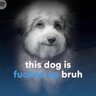 Janf!'s profile picture