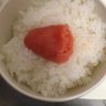 Profilbild von びすこ