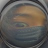 baboome's profile picture