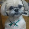 しのりん♪( ´▽`)'s profile picture